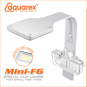 AQUAREX F6 LED블루웨이브[화이트]