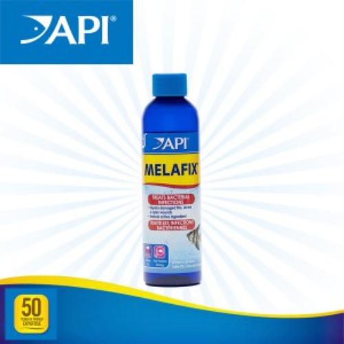 API 멜라픽스 소~대용량 (세균성 치료제)
